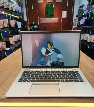 Laptop HP EliteBook 745 G6 8GB AMD Ryzen 7 SSD 256GB