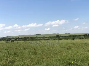 Kipeto Kajiado 100 Ac With Borehole, Dam and 3phase Electric Fence