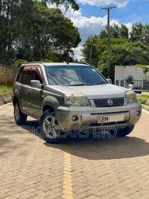 Nissan X-Trail 2.0 2003 Brown