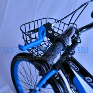 Galaxy Sport Bicycle – Perfect for School and Play