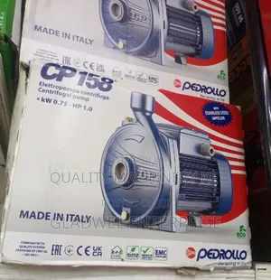 Professional Original Pedrollo Water Pump Booster Pump 1hp at
