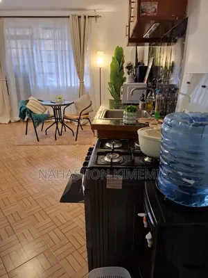 Guest-Friendly Peaceful Studio BNB TRM Drive Roysambu Thika Road