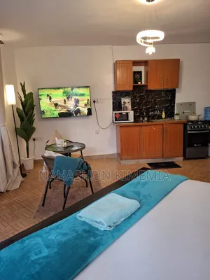 Guest-Friendly Peaceful Studio BNB TRM Drive Roysambu Thika Road