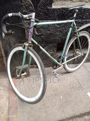 Raleigh Road Bike