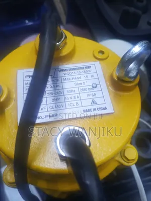 WDQ Sewage Submersible Pump/1500w Pump