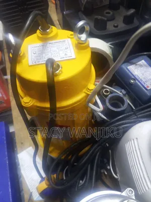 Top Recommend Sewage Pump/ 19m3 Max Flow Pump