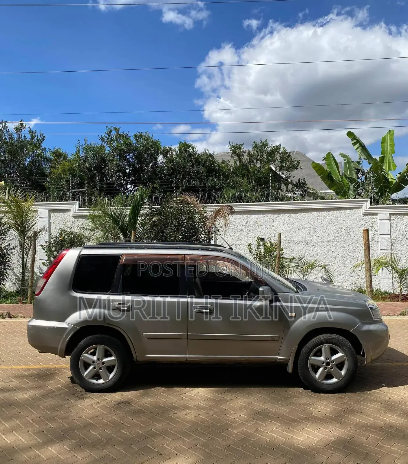 Nissan X-Trail 2003 Gray