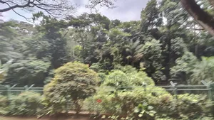 1acre Land for Sale in Parklands