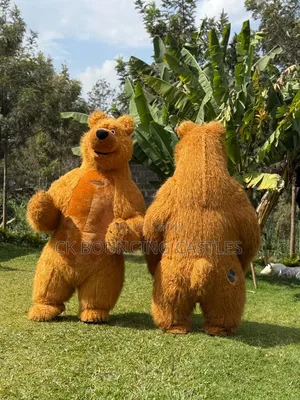 Inflatable Bears/Mascots for Hire