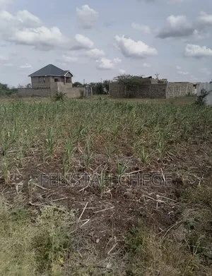 Prime 40x60 Plot in Murera Ruiru Near Main Road