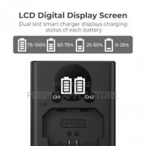 Np-Fz100 Battery Charger With Lcdscreen for Sony Alpha Zv-E1.