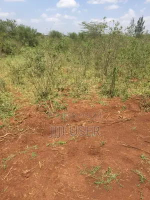 Ruiru Twiga Plot