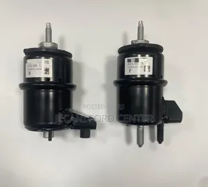Ford Raptor Engine Mounting
