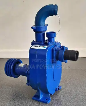 Bare Pump 2"
