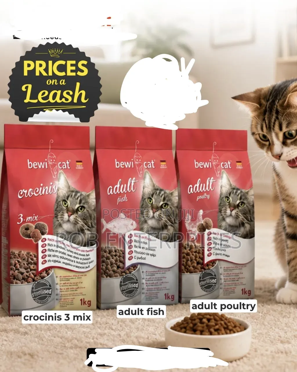 1kg Cat Food