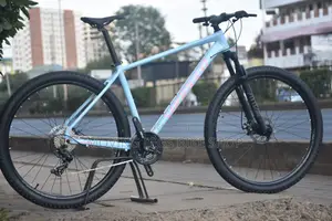 Sunpeed Size 29 Mountain Bike