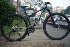 Sunpeed Size 29 Mountain Bike