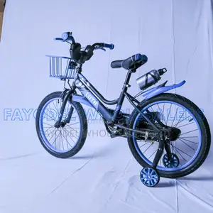 Luta Size 20 Kids Bike With Basket Training Wheels