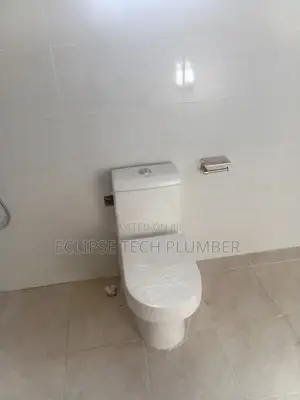 Plumber Near Me Professional Plumber
