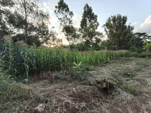 Affordable Eighth Acre Plot for Sale in Kerarapon Drive. Red Soil Land