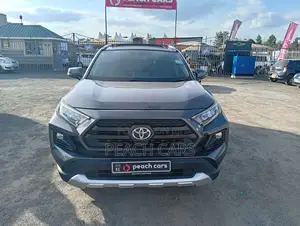 Toyota RAV4 2019 Gray