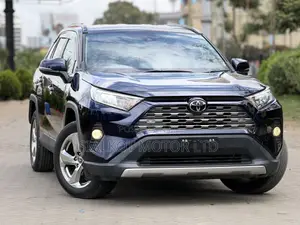 Toyota RAV4 LE AWD 2019 Blue