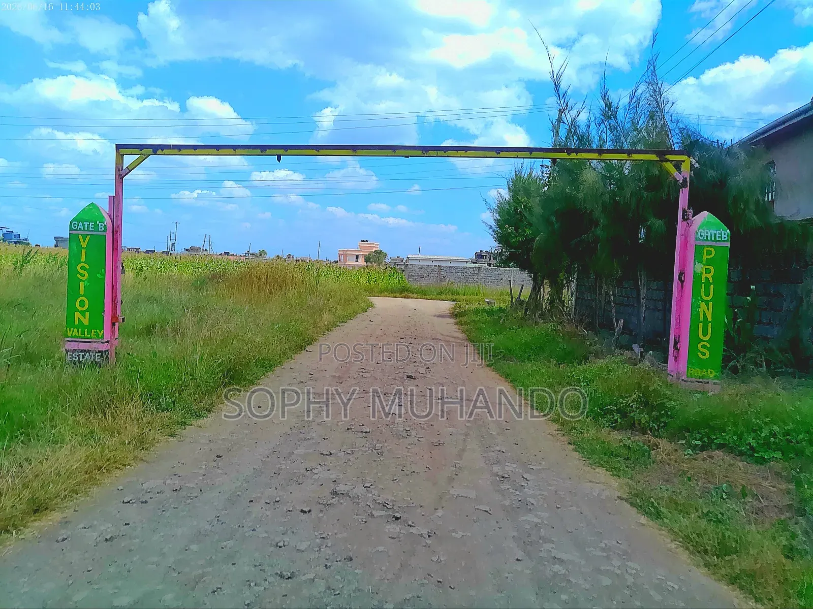 Prime Plot in Ruiru Kamakis