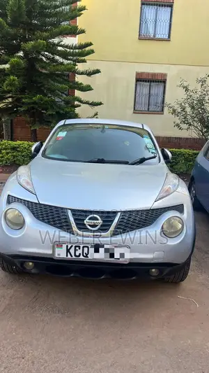 Nissan Juke 2011 Silver