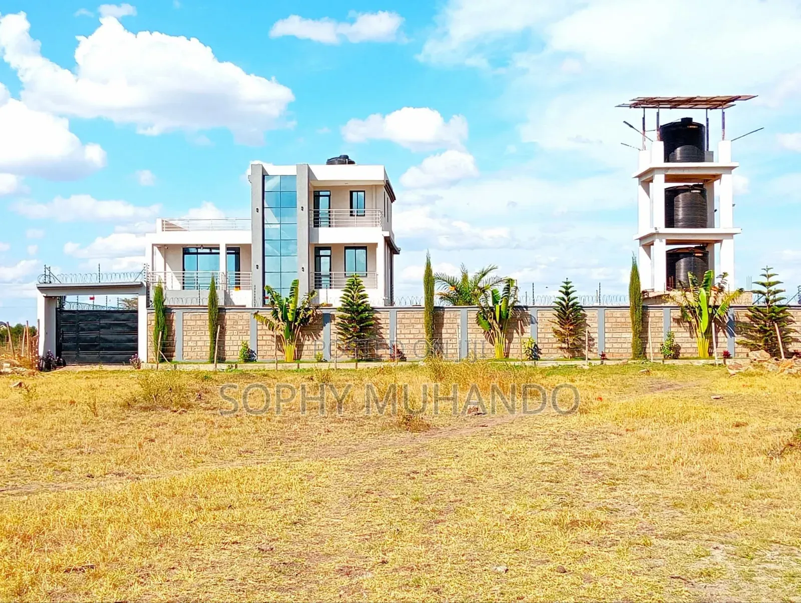 Prime Plot In Kamakis-vision Valley