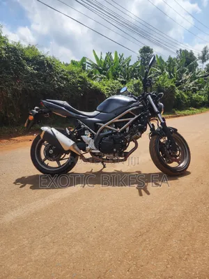 Suzuki SFV650 2024 Black