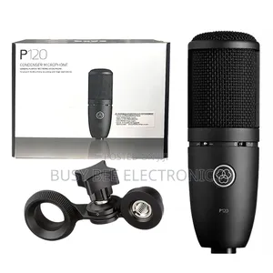 P120 Large-Diaphragm Cardioid Condenser Microphone for Vocalsrecording