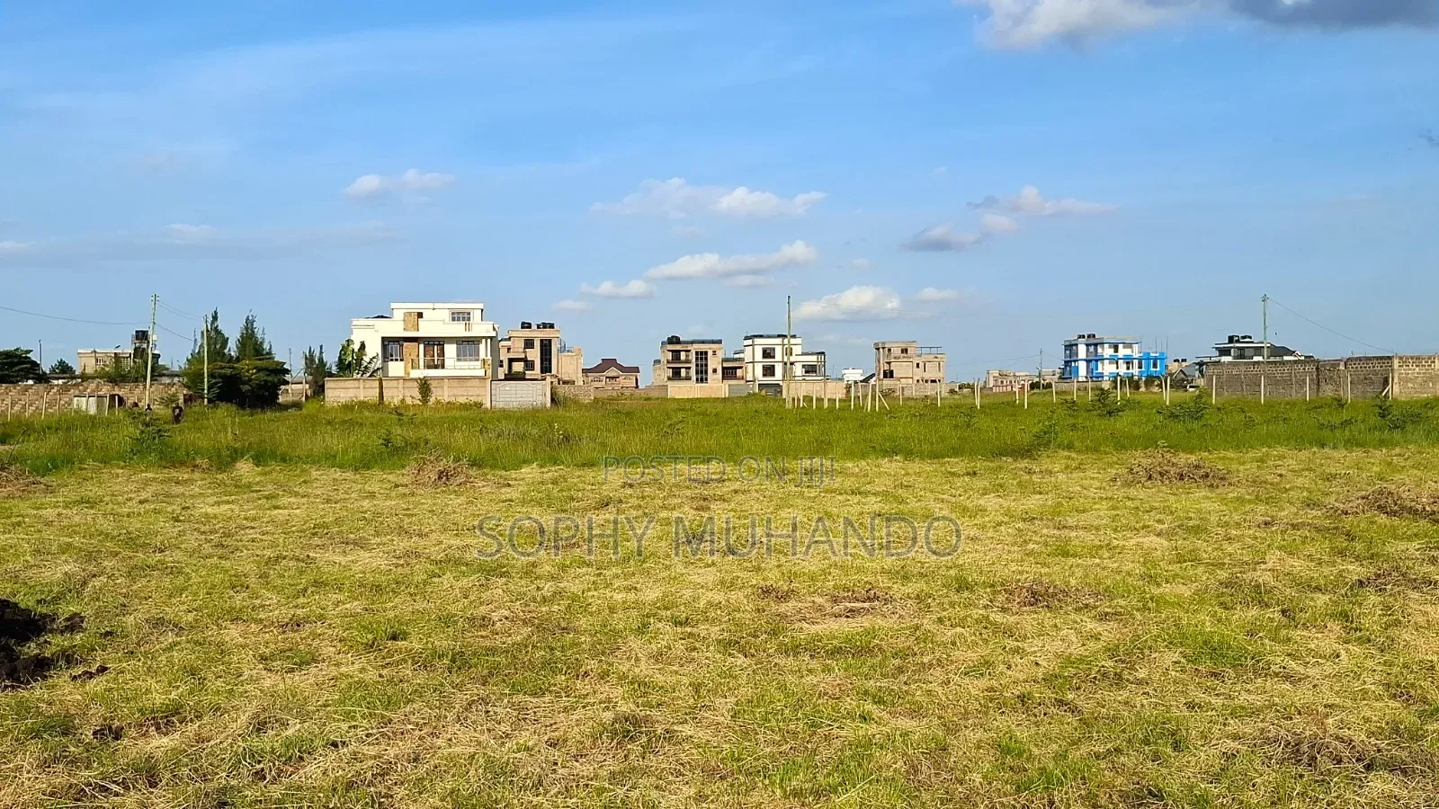 Prime Plot In Kamakis-vision Valley