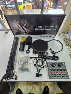 V8 Condenser Microphone With Live Recording for Studio