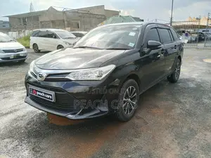 Toyota Corolla Fielder 2019 Black