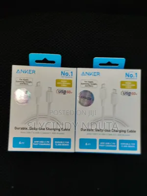 Anker Durable, Daily -Use Charging Cable (6ft,60w)