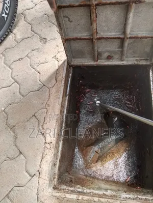 Household and Compound Pests Fumigation and Pest Control Pests