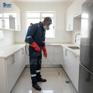 Stop Invaders Like Cockroaches and Bedbugs by Instant Fumigation