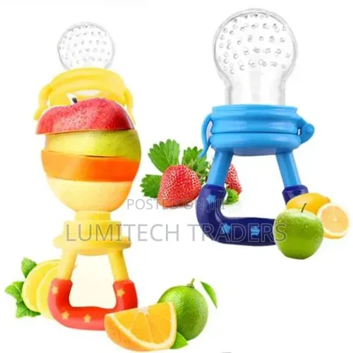 Pacifier Fruit Feeder