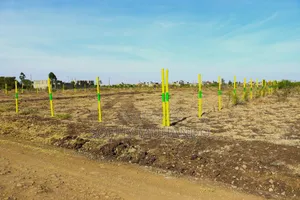 Prime Plot in Ruiru Kamakis Corner