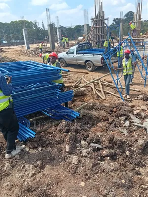Blue Heavy Duty Scaffolding Ladders