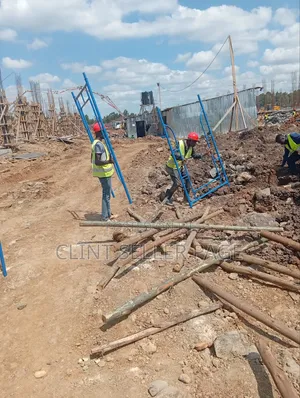 Blue Heavy Duty Scaffolding Ladders