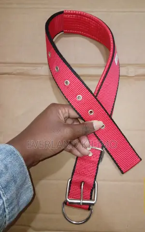 Heavy Duty Fine Dog Collars