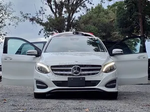 Mercedes-Benz B-Class 2018 Pearl