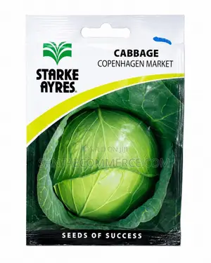 Cabbage Seeds