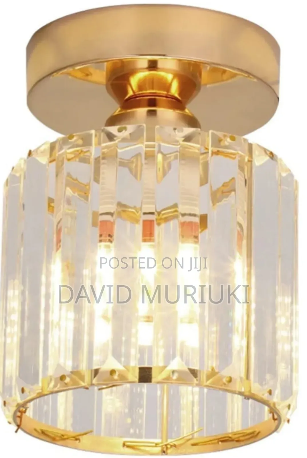 Decorative Ceiling Pendant Lamp Indoor Lighting Fixture.