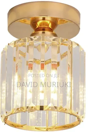 Decorative Ceiling Pendant Lamp Indoor Lighting Fixture.
