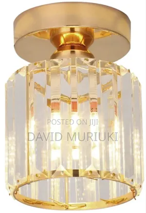 Decorative Ceiling Pendant Lamp Indoor Lighting Fixtures