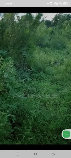 Plot for Sale