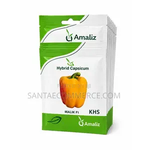Amaliz Malik F1 Hybrid Capsicum Seed