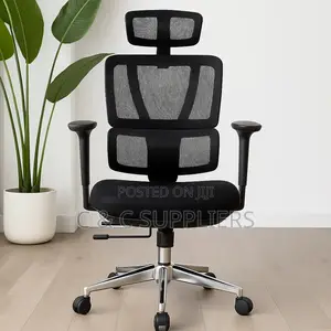 Office Orthopedic Adjustable Chair